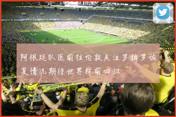 阿根廷队医前往伦敦关注罗梅罗恢复情况期待世界杯前回归
